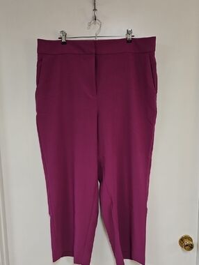 Ann Taylor Factory Women's Raspberry Straight Leg Pull-On Pants